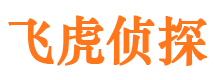 西林婚外情调查取证